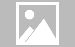 保亭编制网站建设（编制网站建设包括哪些）